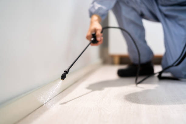 Licensed Termite Control service in Sylvania, AL - Nex Pest Control