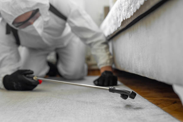Professional Termite Control technician working in Sylvania, AL