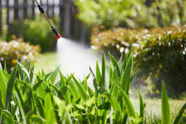 24/7 Emergency Termite Control experts in Sylvania, AL